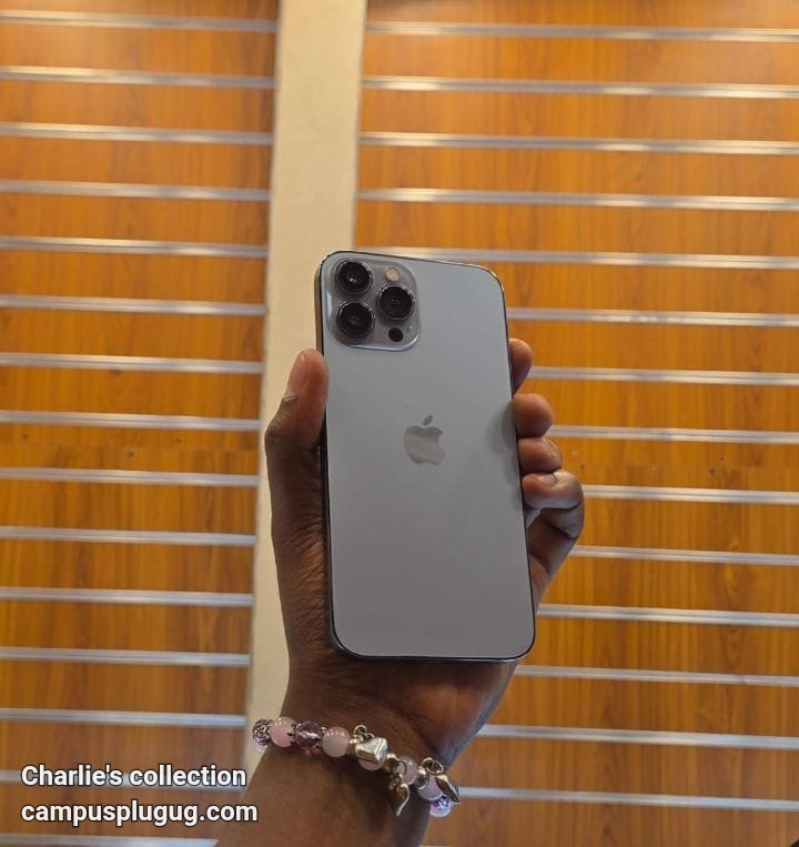 iPhone 13 pro Max